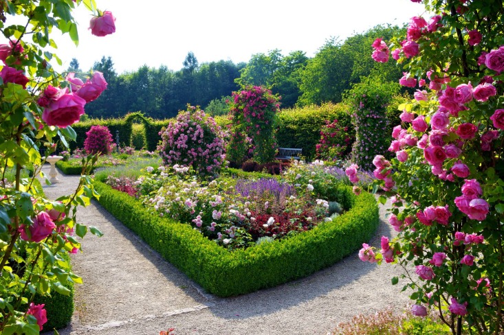 Rose Garden Ideas How to Design with Roses