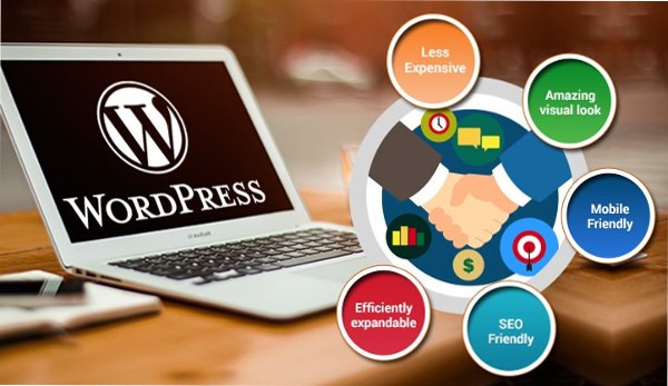 WordPress Costs in 2024: How Much Does a WordPress Website Cost?