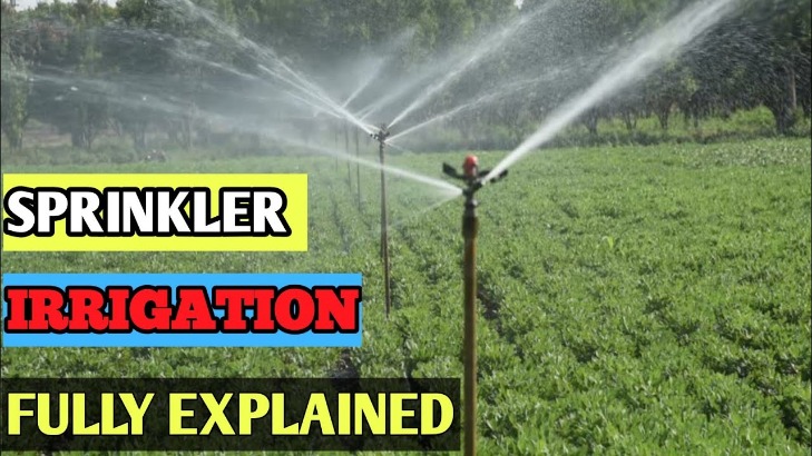 Soak, Drip or Spray  How to Choose a Watering System